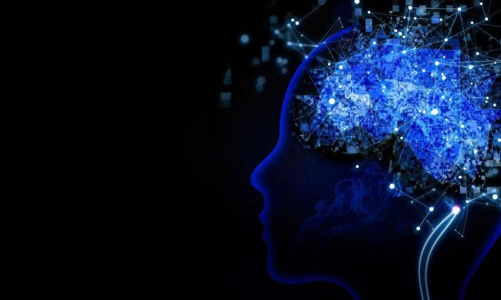 Privacidade e Segurança